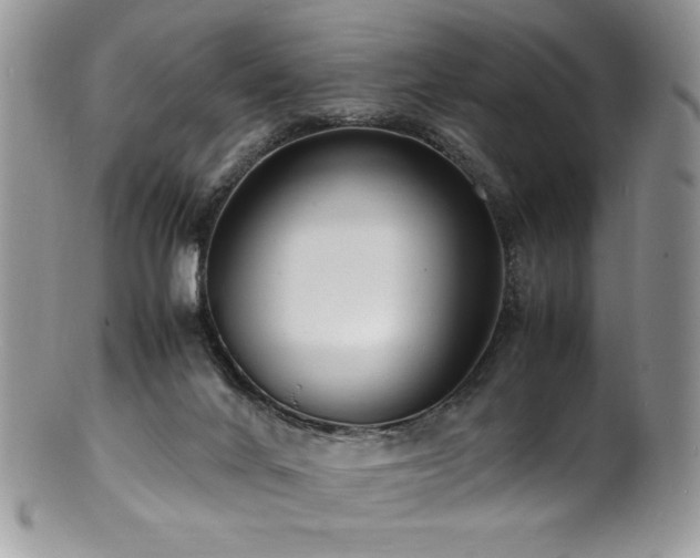 X0000100850024200806201225