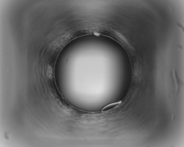 X0000100850025200806201225