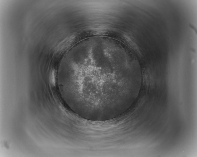 X0000100850026200806201225