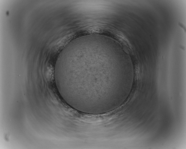 X0000100850029200806201225
