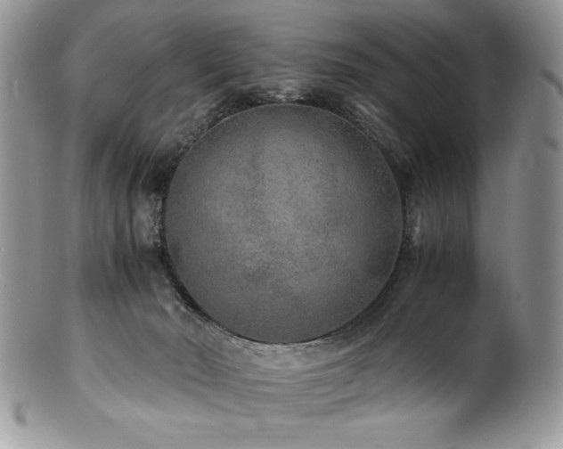 X0000100850030200806201225