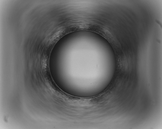 X0000100850032200806201225