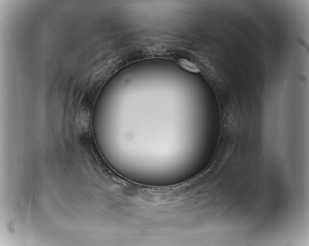X0000100850033200806201225
