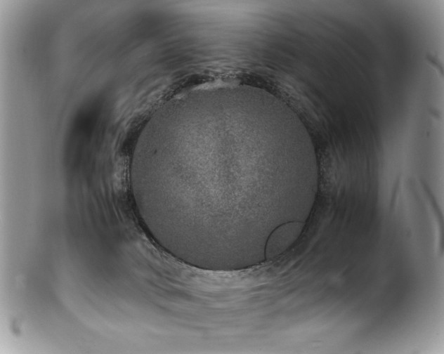 X0000100850034200806201225