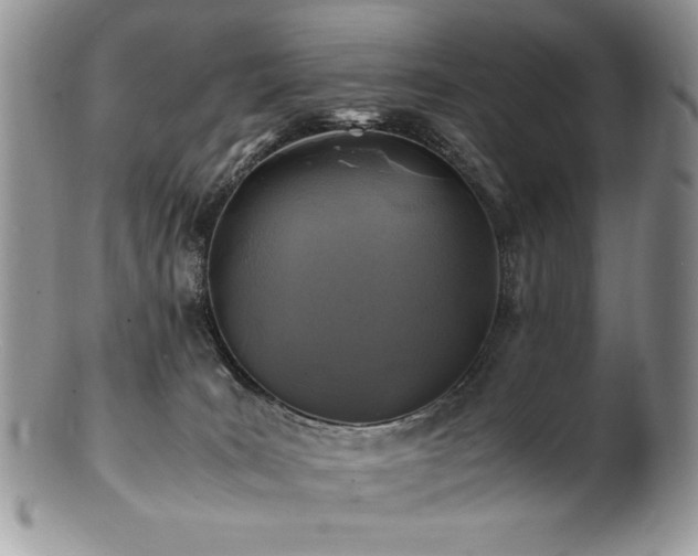 X0000100850035200806201225