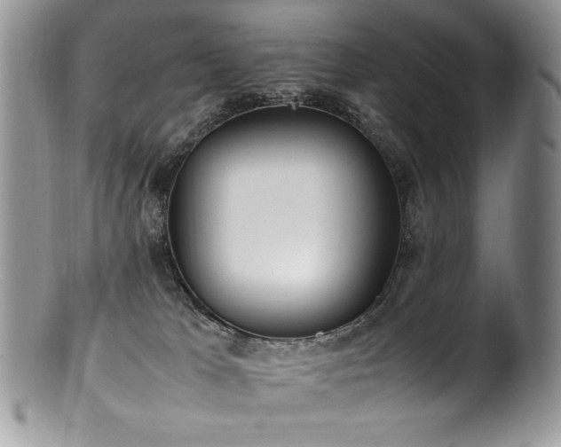 X0000100850037200806201225