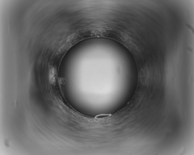 X0000100850038200806201225