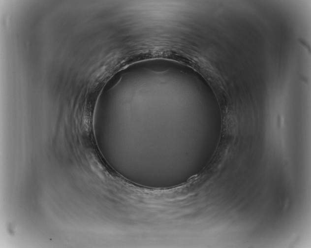 X0000100850039200806201225