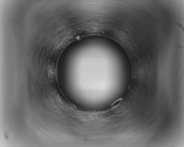 X0000100850040200806201224