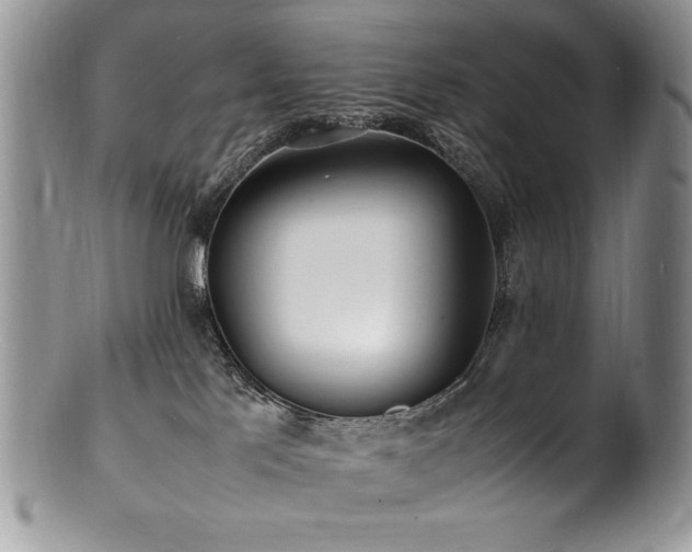 X0000100850041200806201224