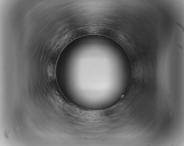 X0000100850044200806201224