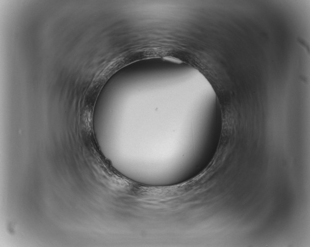 X0000100850045200806201224