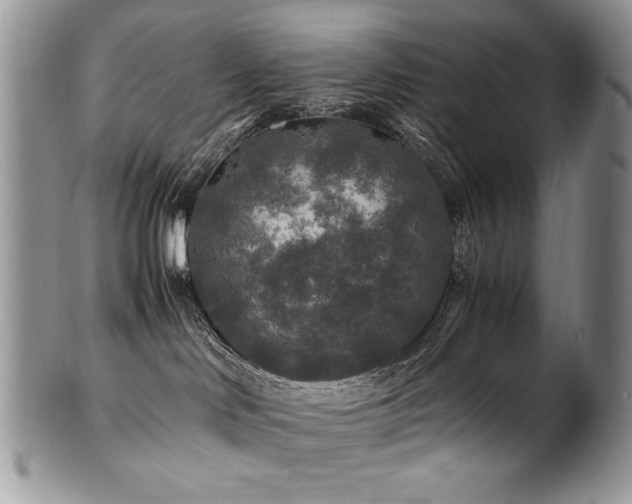 X0000100850046200806201224