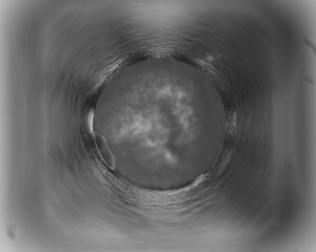 X0000100850047200806201224