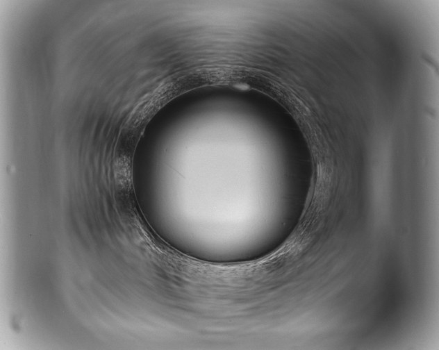 X0000100850048200806201224