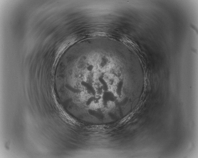 X0000100850049200806201224