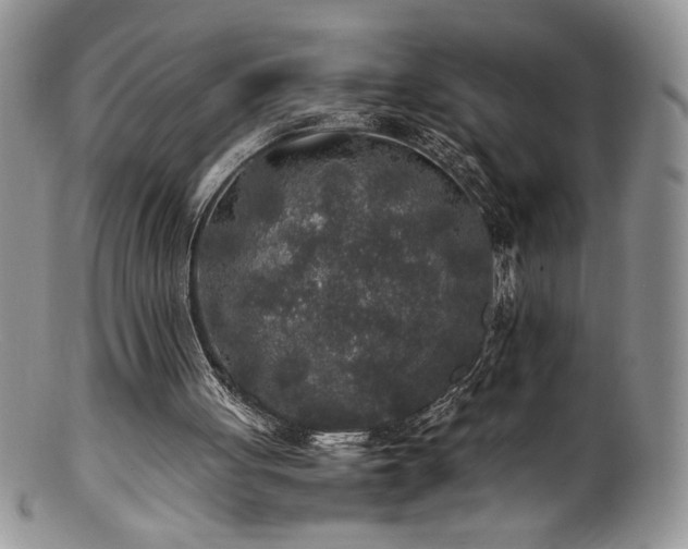 X0000100850051200806201224