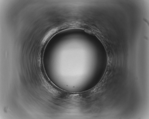 X0000100850054200806201224