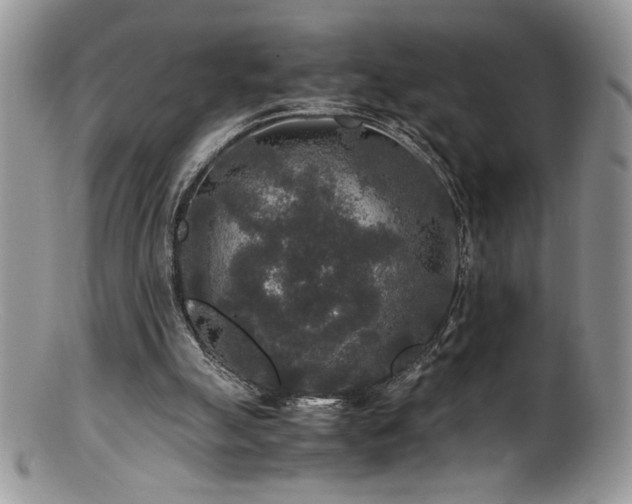 X0000100850055200806201224