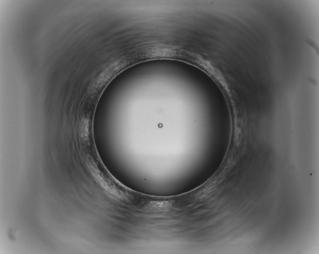 X0000100850057200806201224