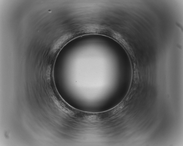 X0000100850058200806201224