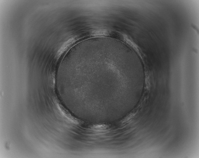 X0000100850059200806201224