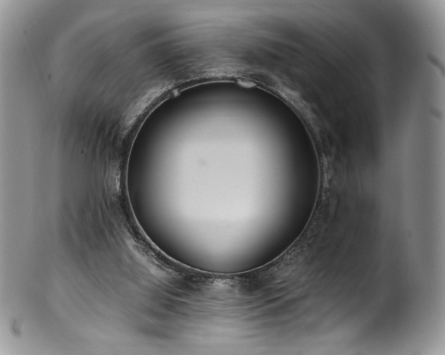 X0000100850060200806201224