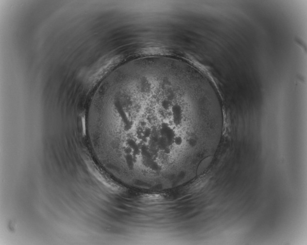 X0000100850061200806201224
