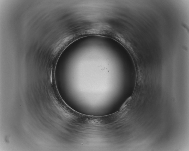 X0000100850062200806201224