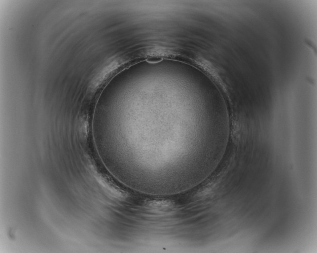 X0000100850063200806201224