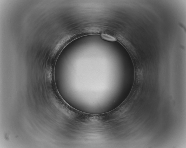 X0000100850064200806201224