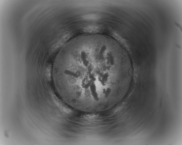 X0000100850065200806201224