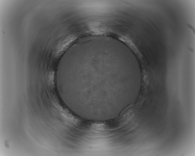 X0000100850066200806201224