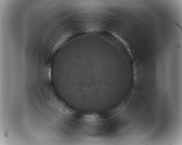 X0000100850067200806201224