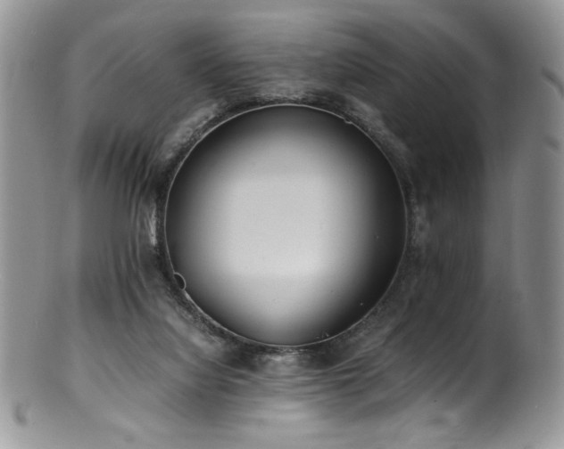 X0000100850068200806201224