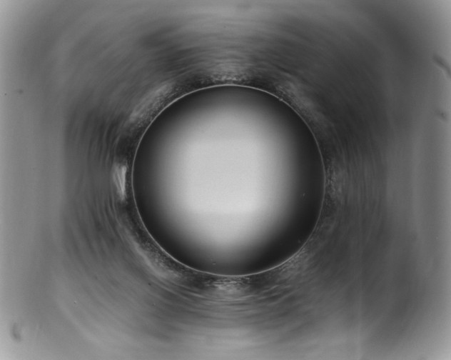 X0000100850070200806201224