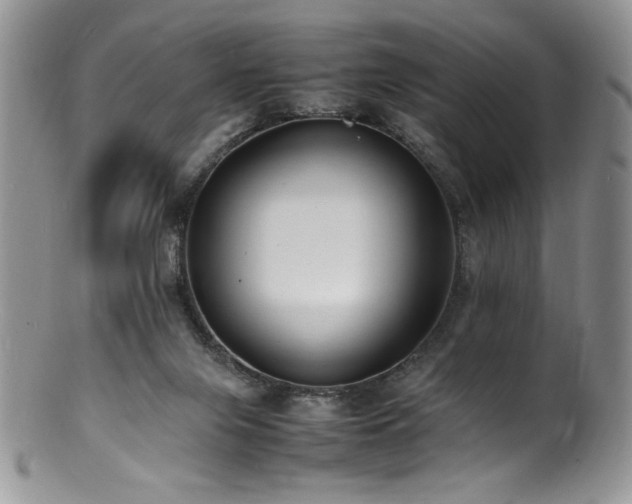 X0000100850071200806201224