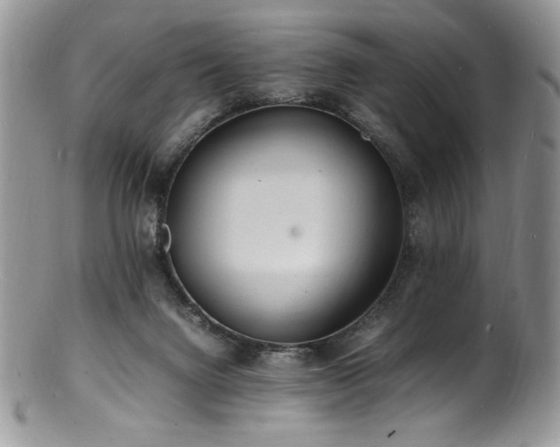 X0000100850072200806201224