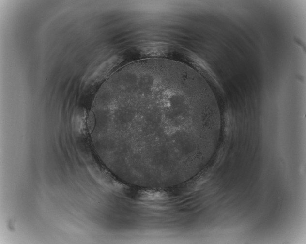 X0000100850073200806201224