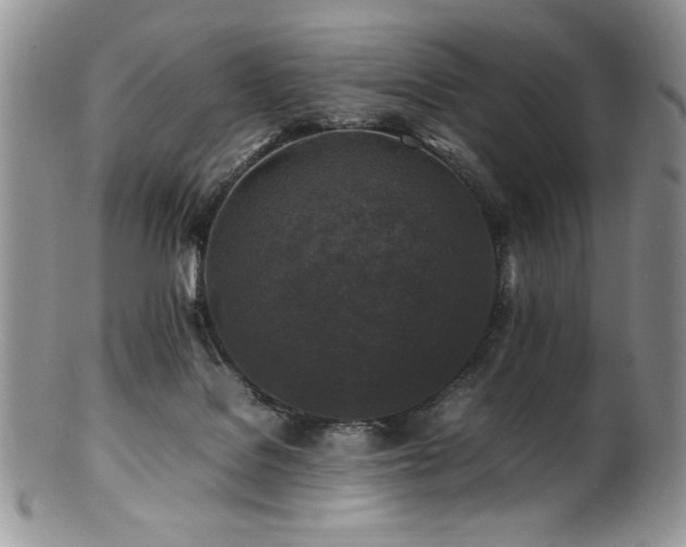 X0000100850076200806201224