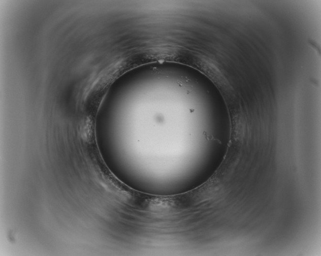 X0000100850077200806201224