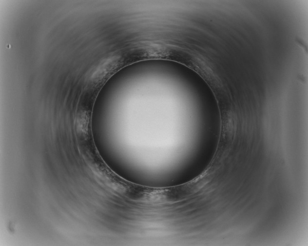 X0000100850078200806201224
