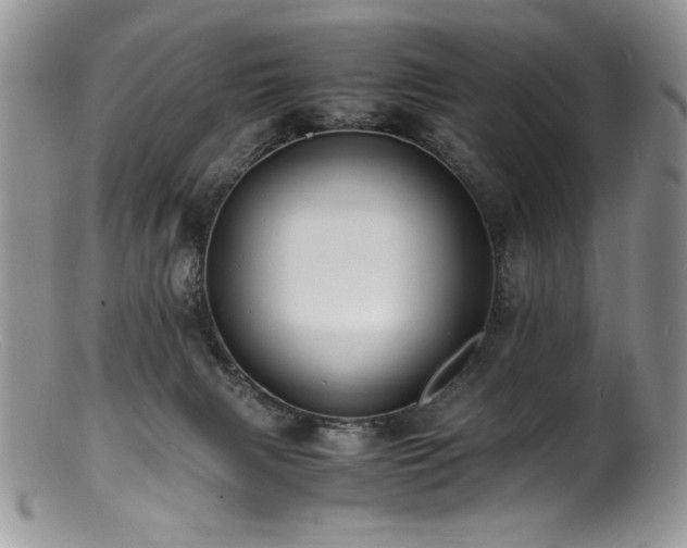 X0000100850079200806201224