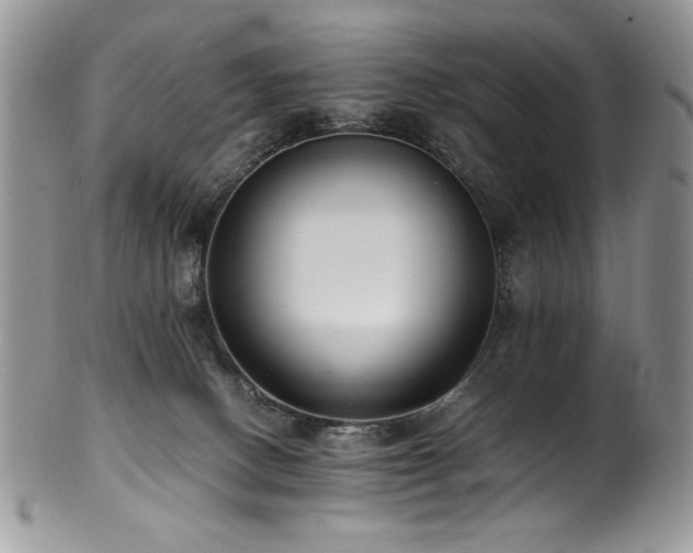 X0000100850082200806201224