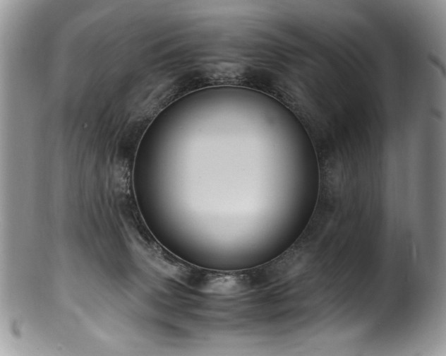 X0000100850083200806201224