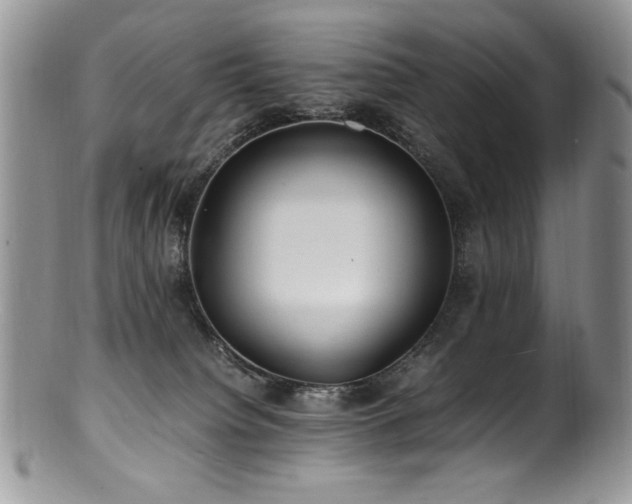 X0000100850084200806201224
