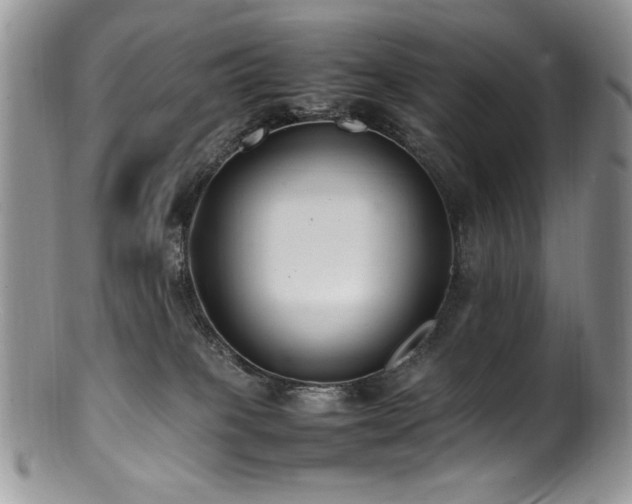 X0000100850085200806201224
