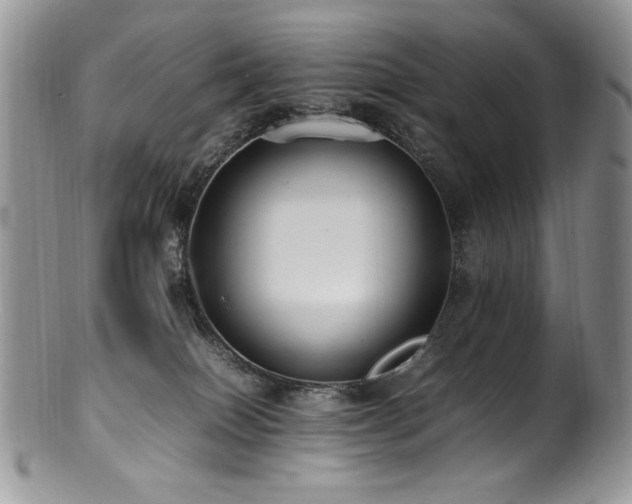 X0000100850086200806201224