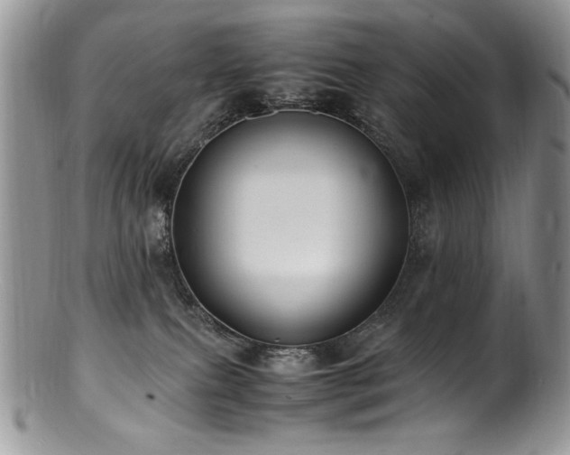 X0000100850087200806201224