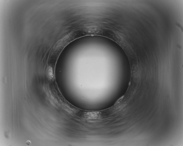 X0000100850089200806201224